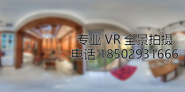 海盐VR全景技术在未来可能的发展方向和应用领域?